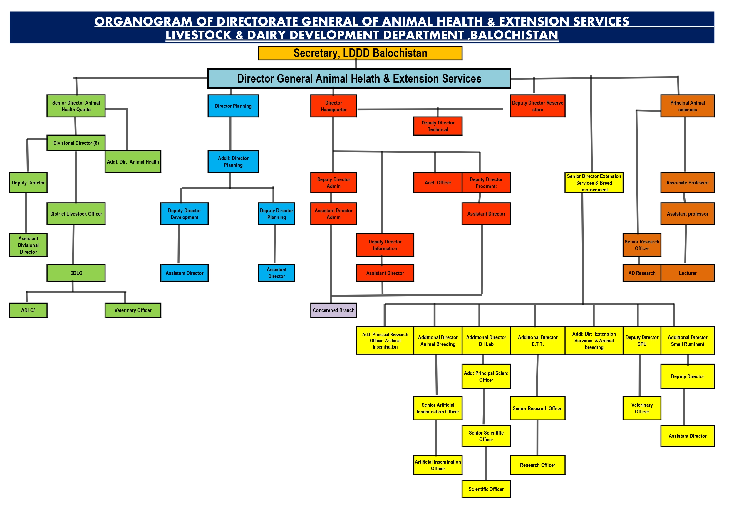 coloured Final all three Directorate Organogram _page-0001.jpg